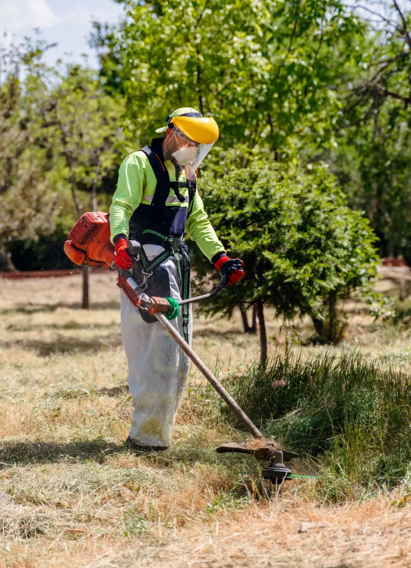BL PARC JARDIN | Debroussaillage-remise-etat-terrains