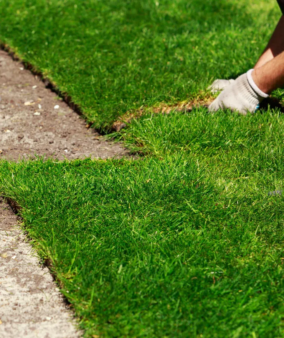 BL PARC JARDIN | Engazonnement-finitions-bl-parc-jardin