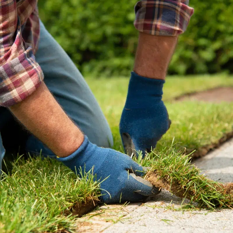 BL PARC JARDIN | Engazonnement-finitions-exterieures-bl-jardin-belgique
