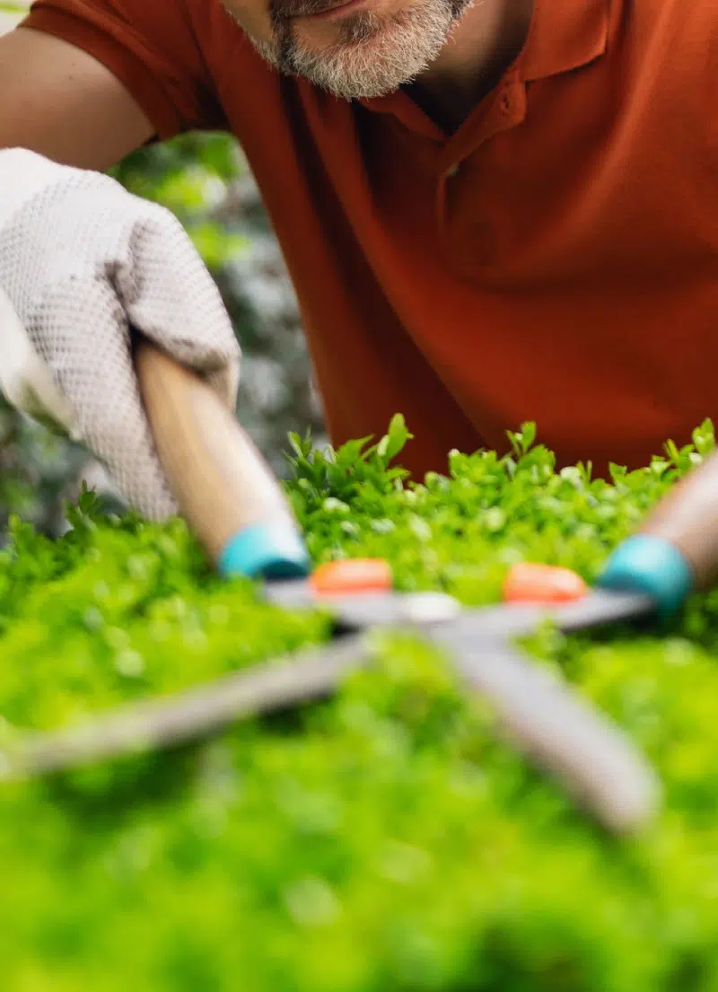 BL PARC JARDIN | Entretien-jardins-ponctuel-regulier-bl-jsrdin-belgique