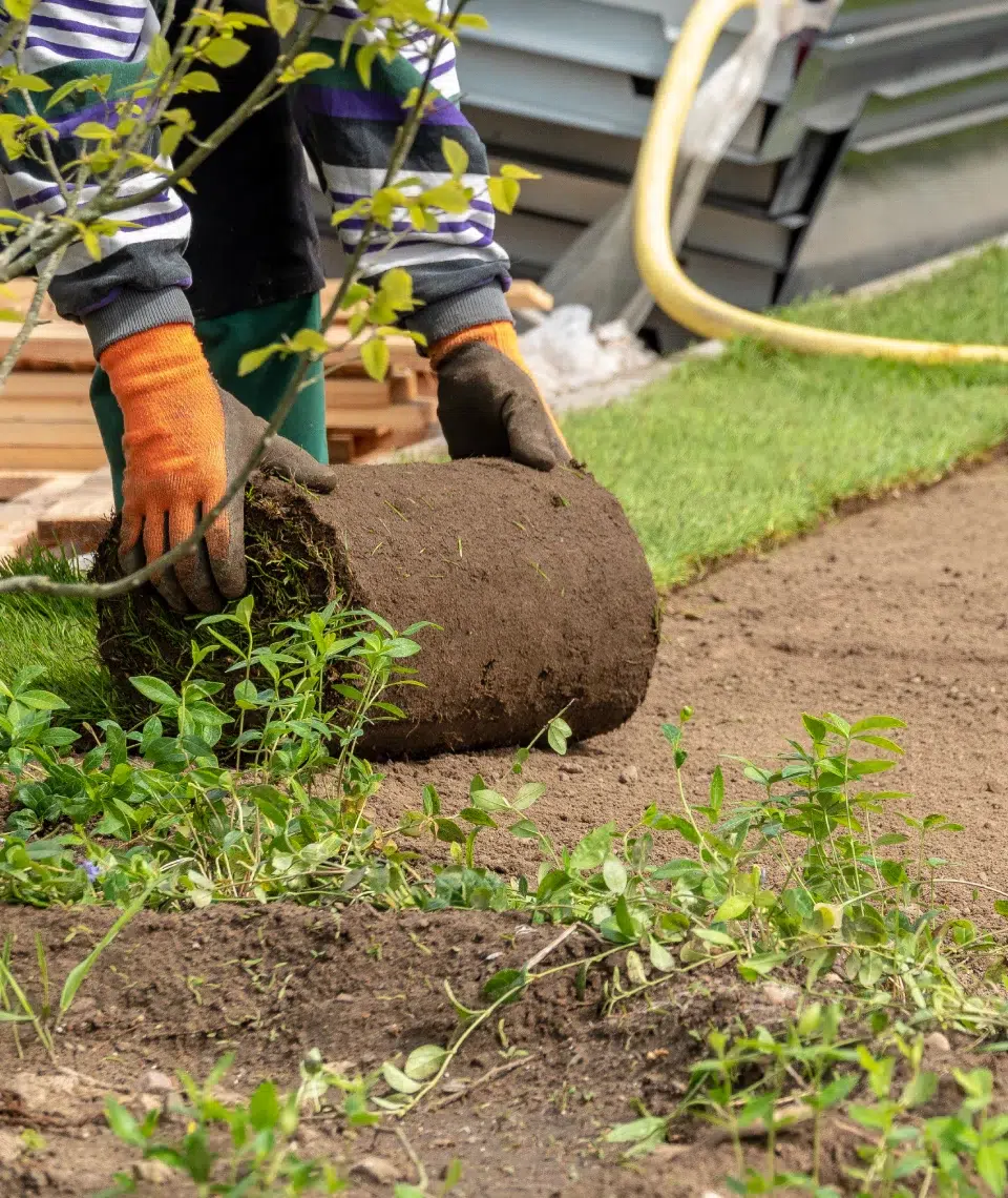 BL PARC JARDIN | Plantation-engazonnement-bl-parc-jardin-belgique