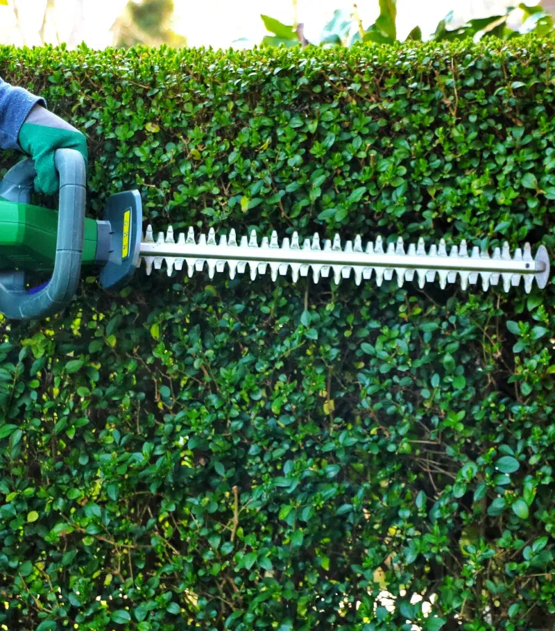 BL PARC JARDIN | Taille-haies-entretien-arbustes-bl-jardin