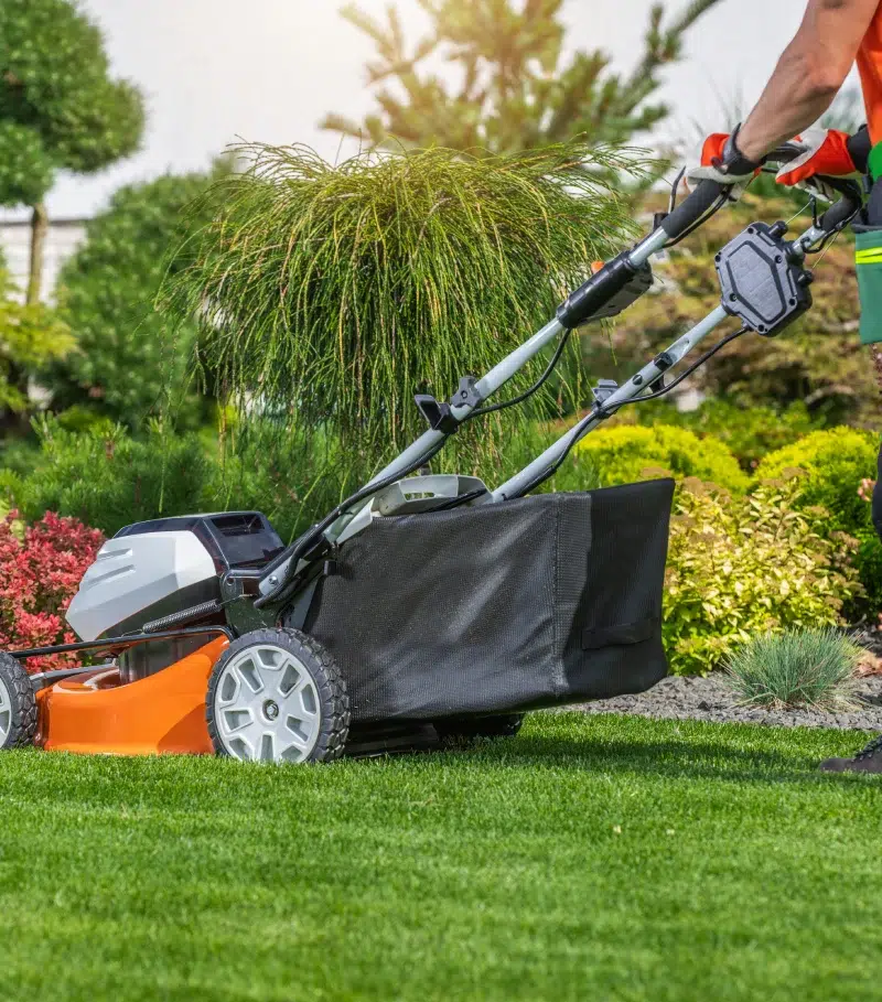 BL PARC JARDIN | Tonte-pelouse-bl-jardin-belgique