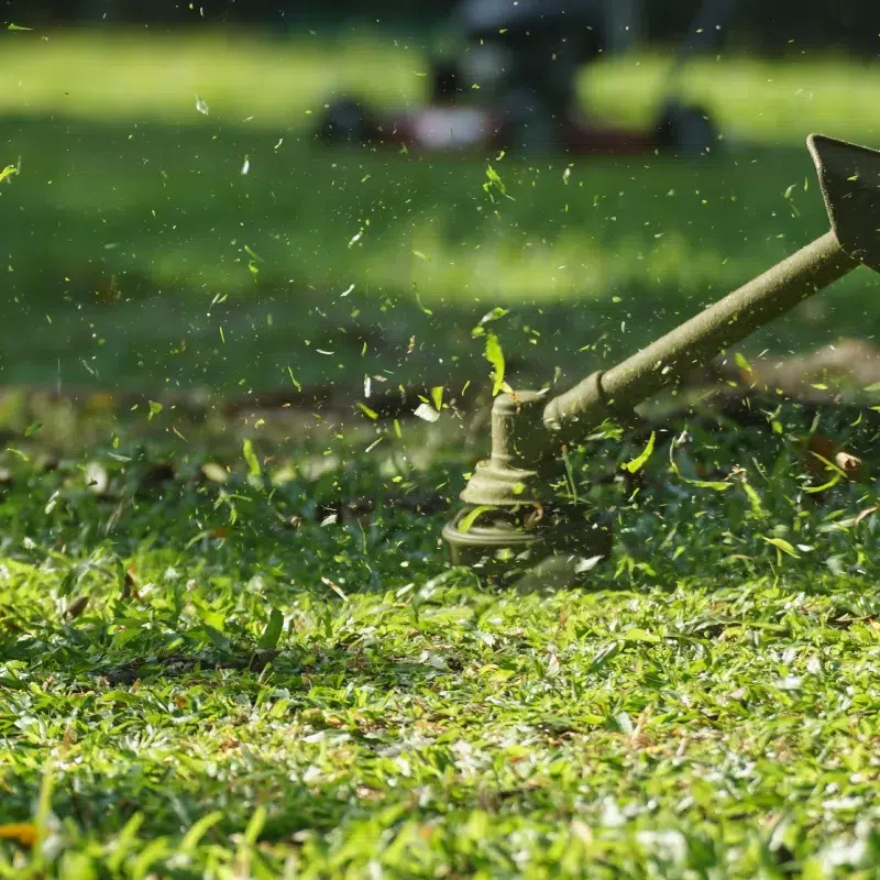 BL PARC JARDIN | Zone-intervention-contact-bl-jardin-belgique