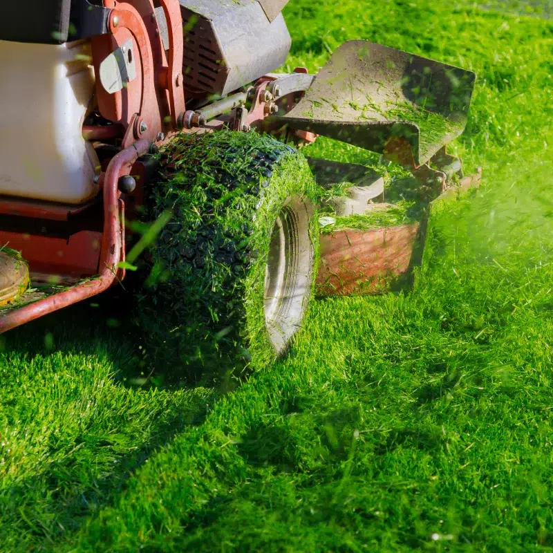 BL PARC JARDIN | Zones-intervention-bl-jardin-belgique