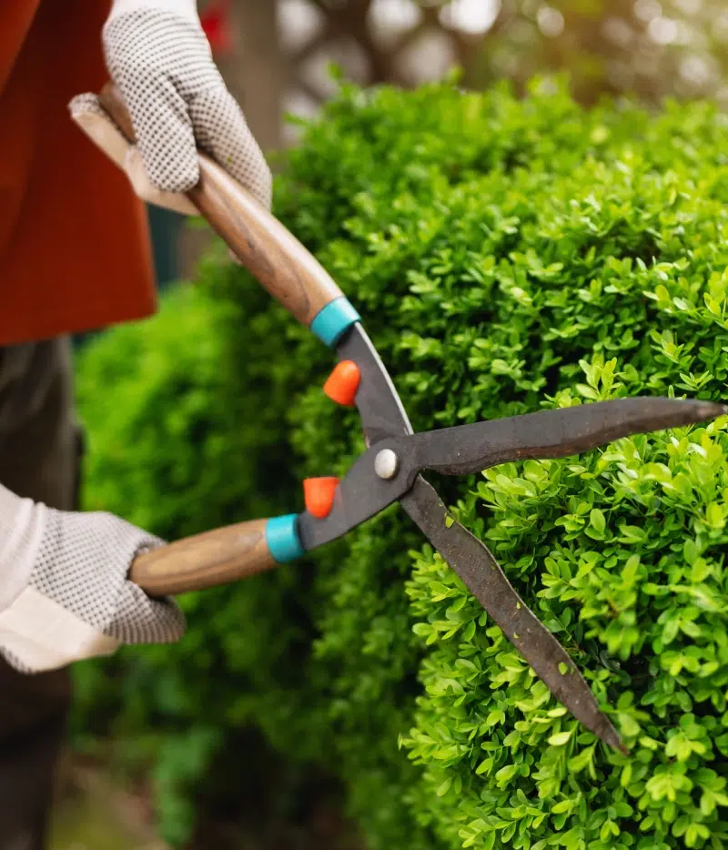 BL PARC JARDIN | bl-parc-creation-jardin-belgique