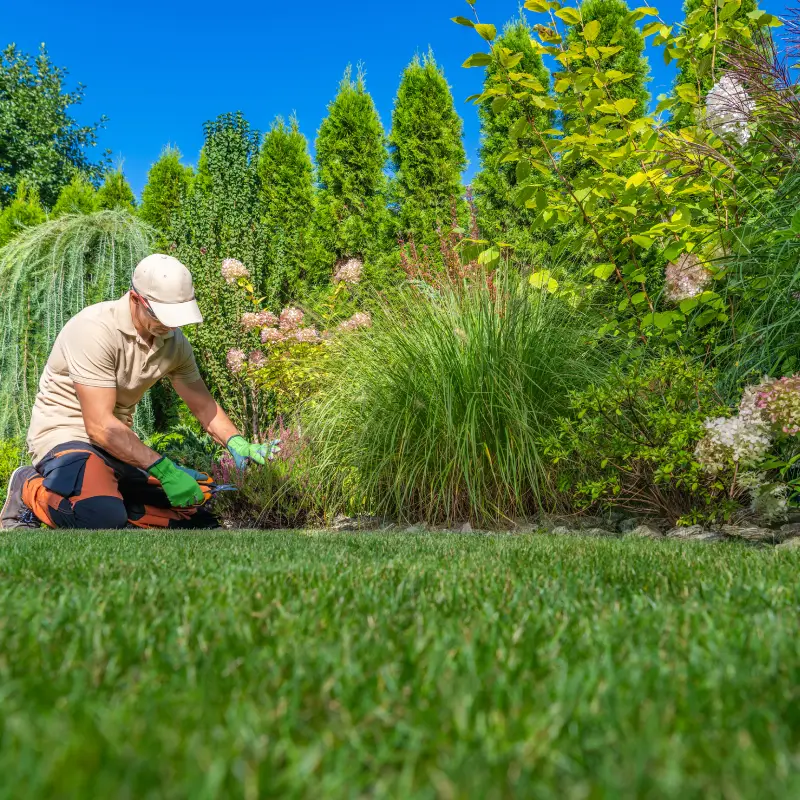 BL PARC JARDIN | bl-parc-jardin-devis-belgique