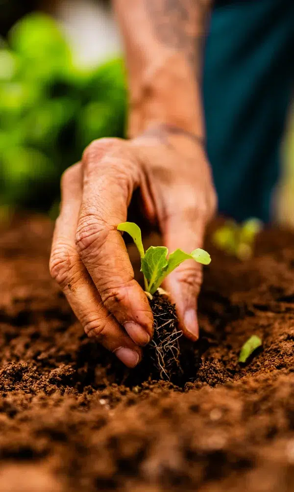 BL PARC JARDIN | bl-parc-jardin-entretien-belgique