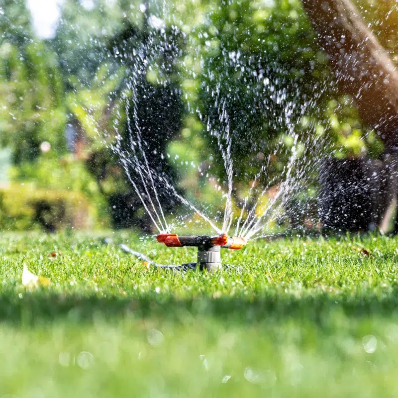 BL PARC JARDIN | demande-devis-bl-jardin-belgique