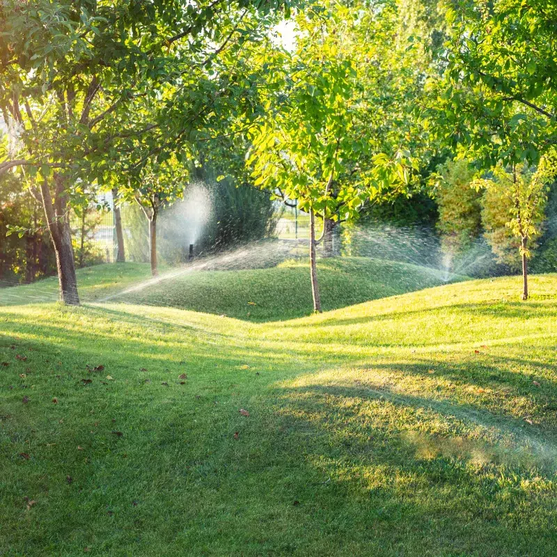 BL PARC JARDIN | devis-gratuit-bl-jardin-belgique