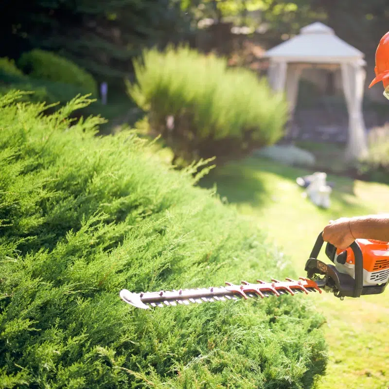 BL PARC JARDIN | prestation-entretien-bl-jardin-belgique